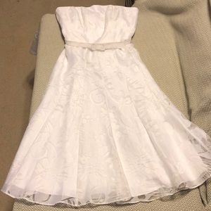 Strapless WHBM Lace Dress